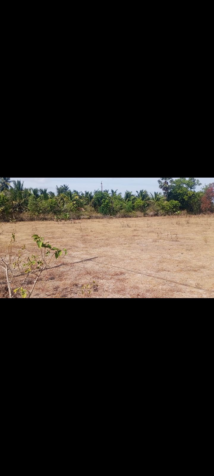 2 ekkar land