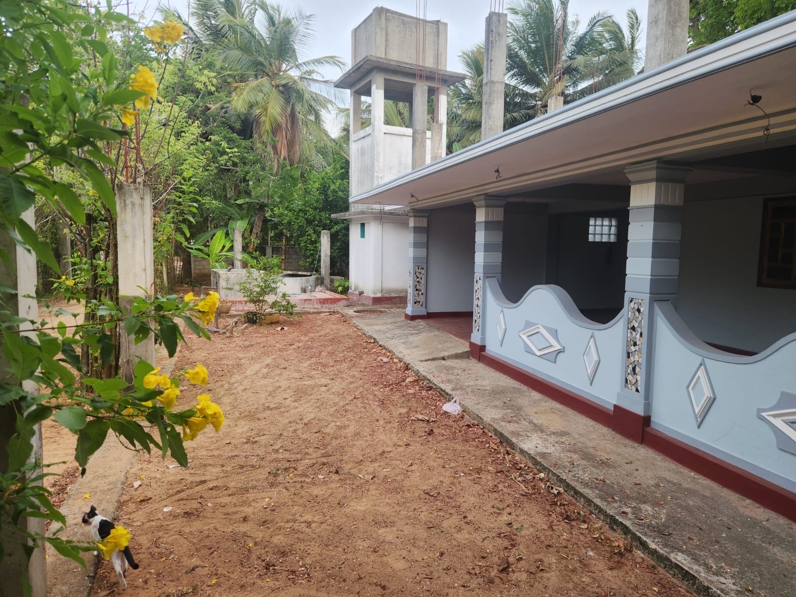 Property with home
