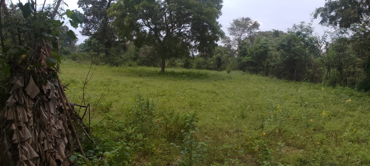 LAND WITH HOUSE SALE!